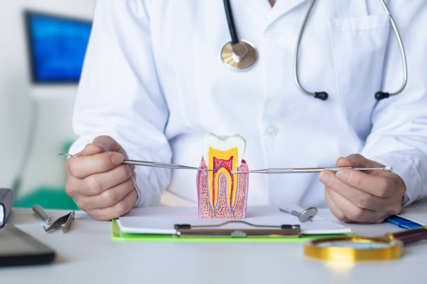 Best Tooth Pain Emergency Relief  in Orient, NY